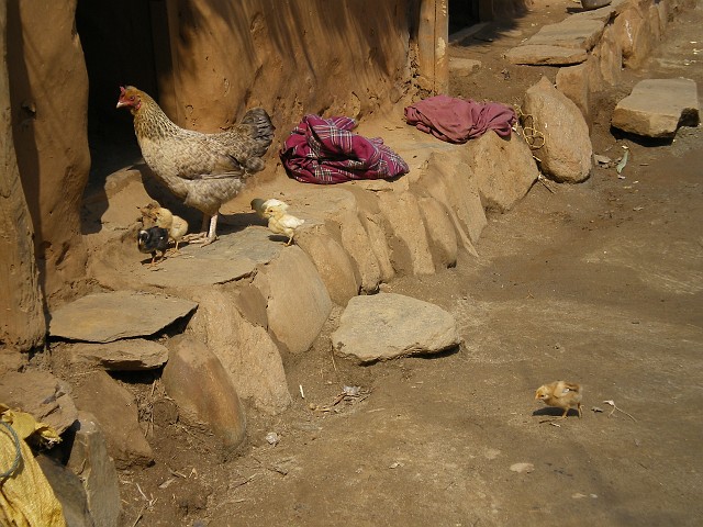 Nepal February March 2007 059